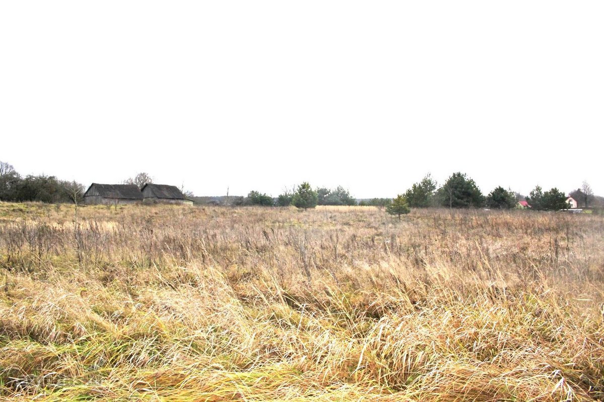 Parduodamas 20 arų sklypas Arnionių II k., - nuotraukos Nr. 10