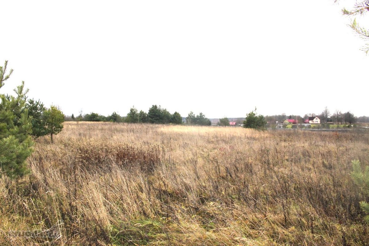 Parduodamas 20 arų sklypas Arnionių II k., - nuotraukos Nr. 9
