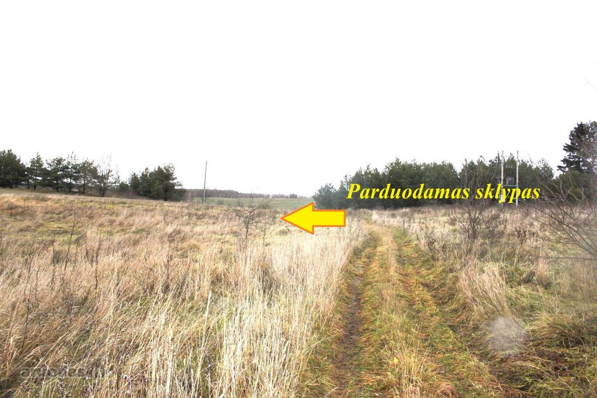 Parduodamas 20 arų sklypas Arnionių II k., - nuotraukos Nr. 3