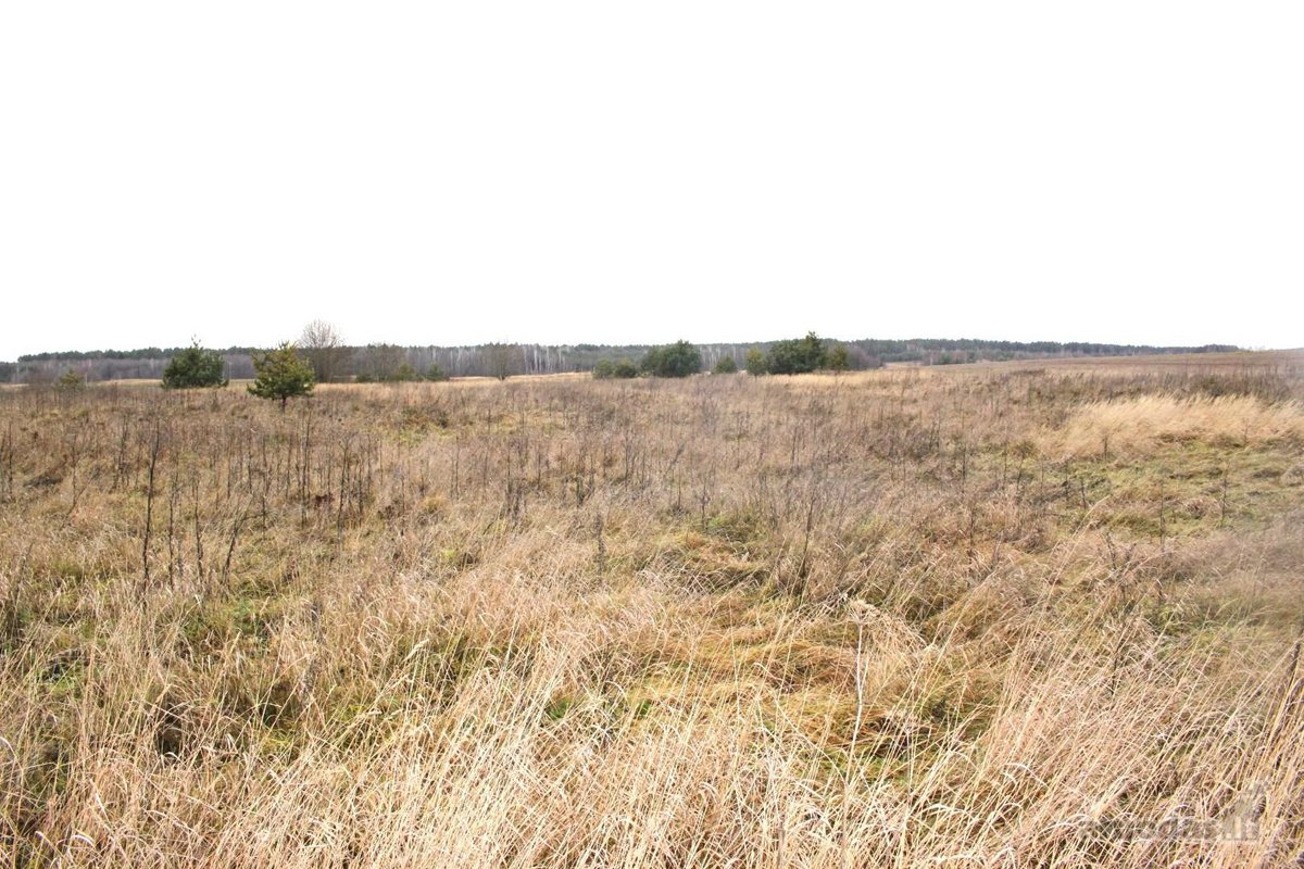 Parduodamas 20 arų sklypas Arnionių II k., - nuotraukos Nr. 12