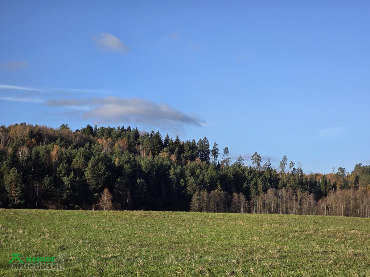 Sodyba Verknės Aukštupio Kraštovaizdyje – - nuotraukos Nr. 14