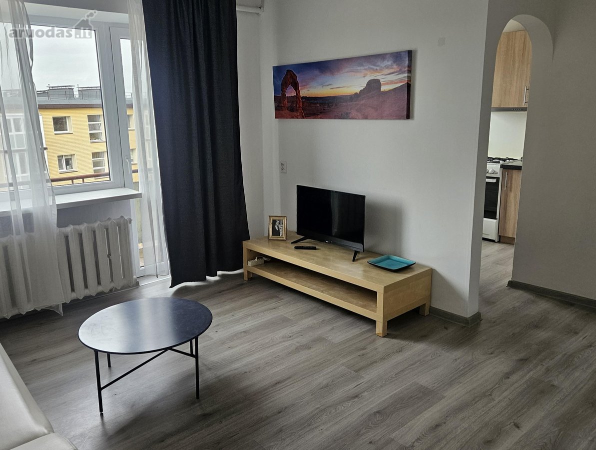 Nuomojamas jaukus vieno kambario butas - nuotraukos Nr. 8