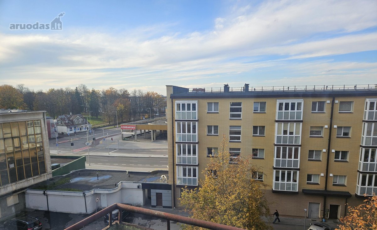 Nuomojamas jaukus vieno kambario butas - nuotraukos Nr. 21