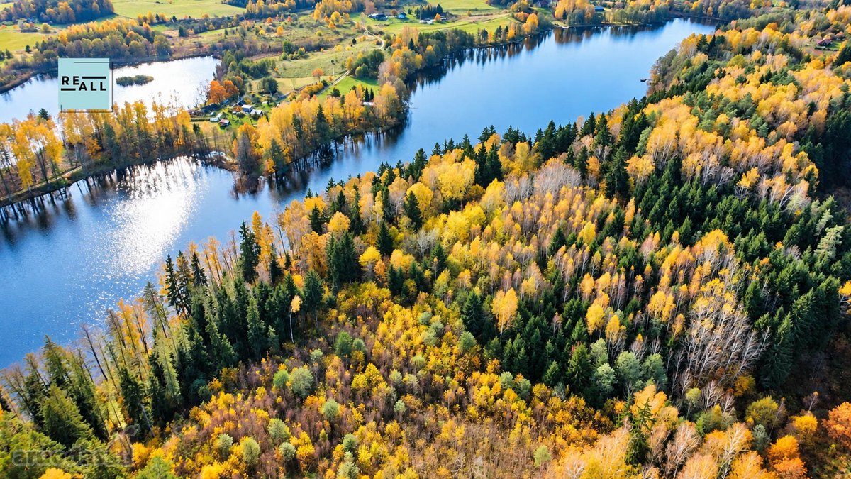 Parduodamas 3,2 Ha Miško Sklypas Su Juodžio - nuotraukos Nr. 3