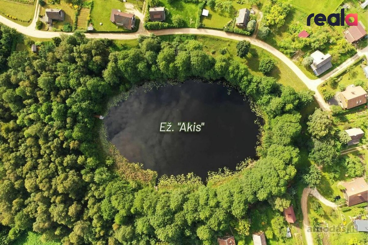 Atokiau nuo Kaišiadorių miesto parduodami du - nuotraukos Nr. 17