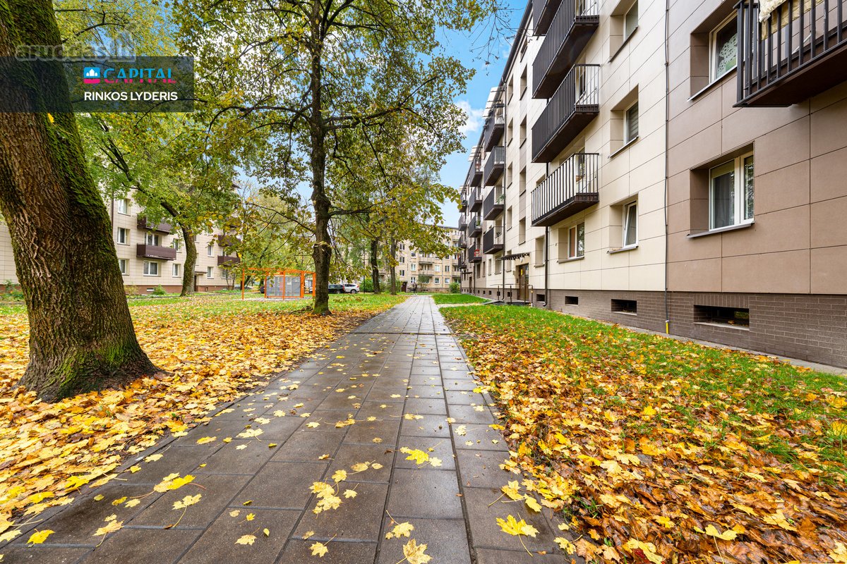 Nuomojamas Šviesus 2 Kambarių Butas - nuotraukos Nr. 21