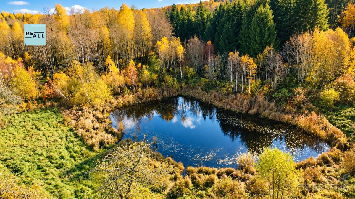 Parduodama Sodyba Su 13,5 Ha Žemės Trakų - nuotraukos Nr. 5
