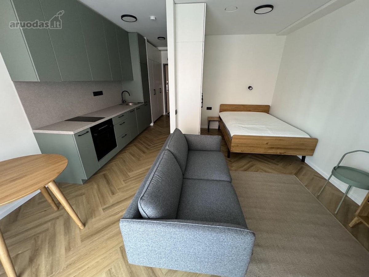Nuomojamas kokybiškai įrengtas 30 m² vieno - nuotraukos Nr. 3