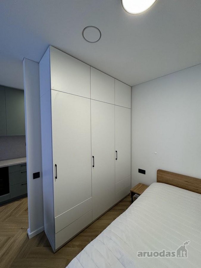 Nuomojamas kokybiškai įrengtas 30 m² vieno - nuotraukos Nr. 13