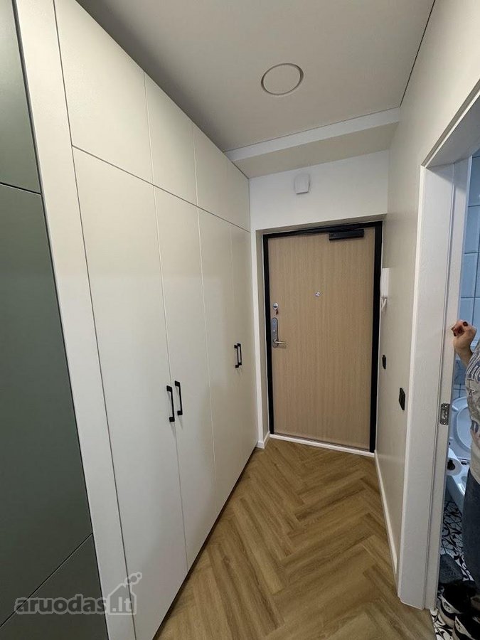 Nuomojamas kokybiškai įrengtas 30 m² vieno - nuotraukos Nr. 15