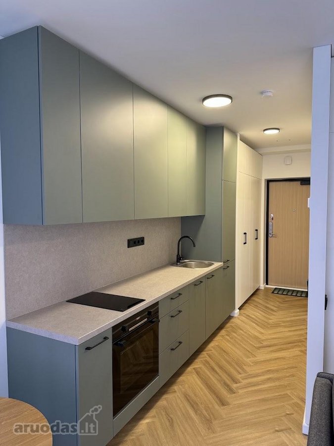 Nuomojamas kokybiškai įrengtas 30 m² vieno - nuotraukos Nr. 17