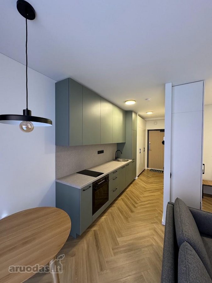 Nuomojamas kokybiškai įrengtas 30 m² vieno - nuotraukos Nr. 18