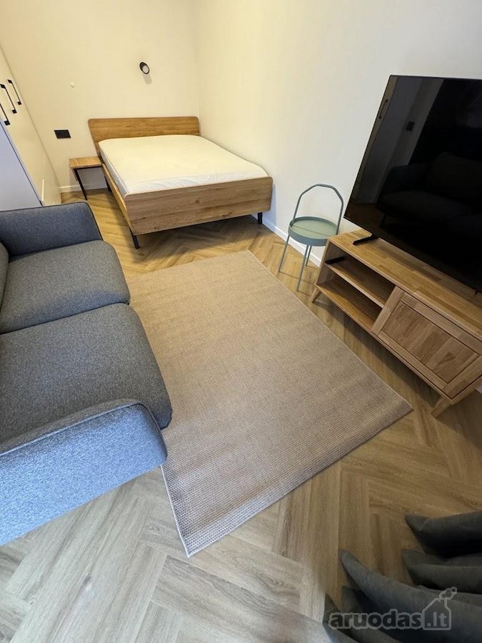 Nuomojamas kokybiškai įrengtas 30 m² vieno - nuotraukos Nr. 21