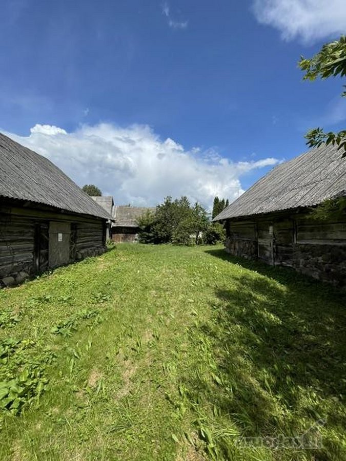 Sena 1888m. sodyba ir šimtametis ąžuolas - nuotraukos Nr. 5