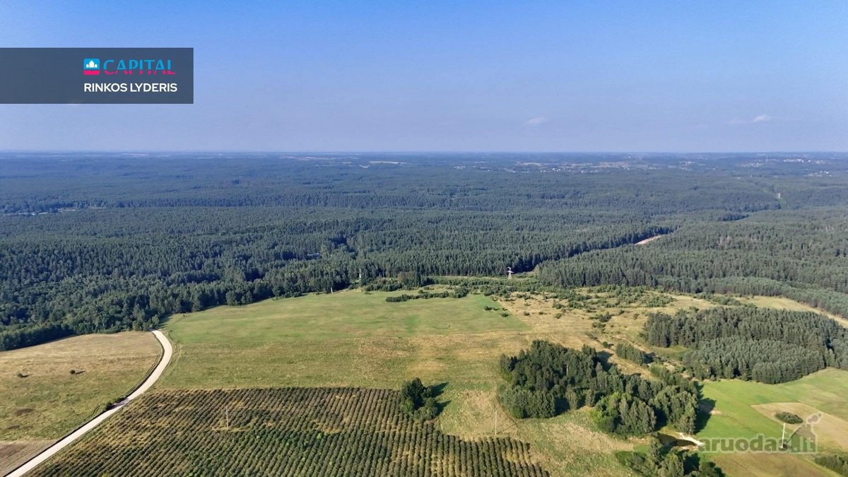Parduodamas 10,8 ha žemės ūkio paskirties - nuotraukos Nr. 4