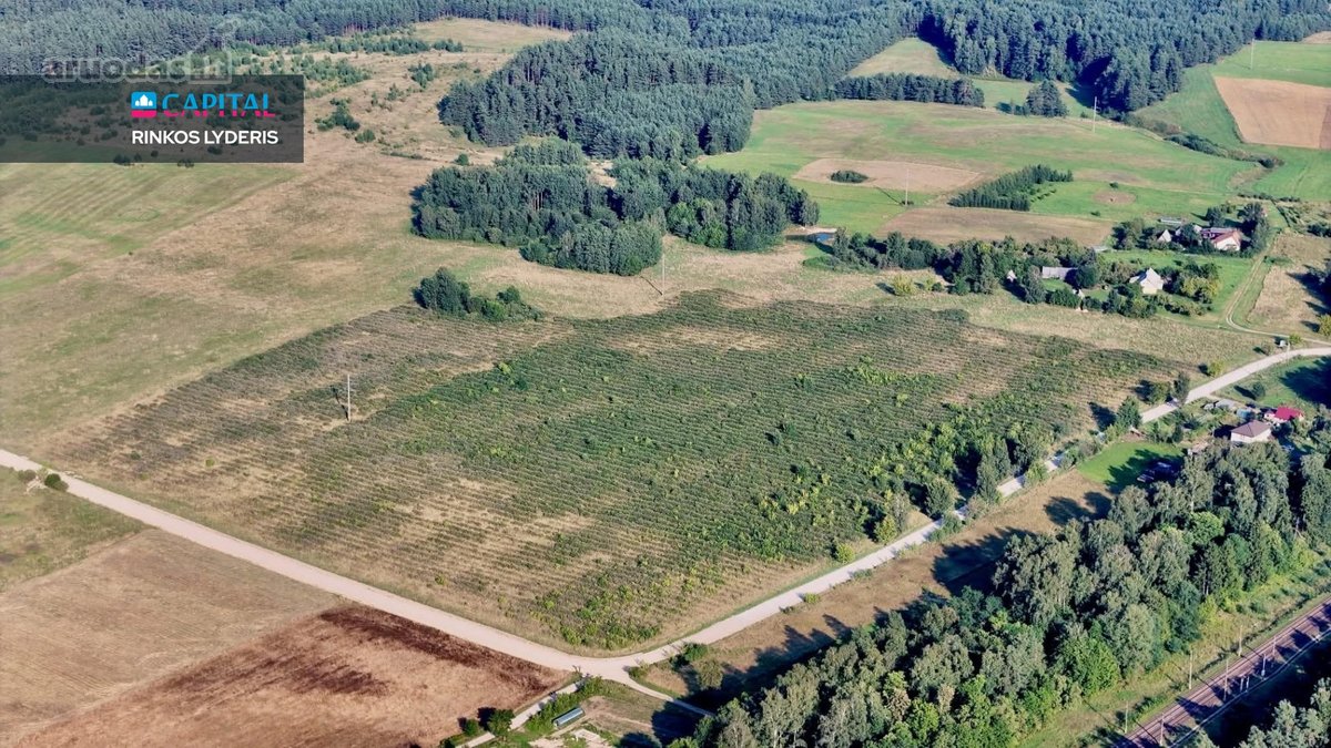 Parduodamas 10,8 ha žemės ūkio paskirties - nuotraukos Nr. 5