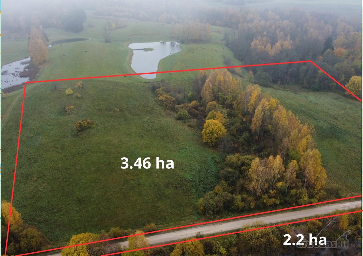 Parduodamas 5,66 ha žemės ūkio paskirties - nuotraukos Nr. 2