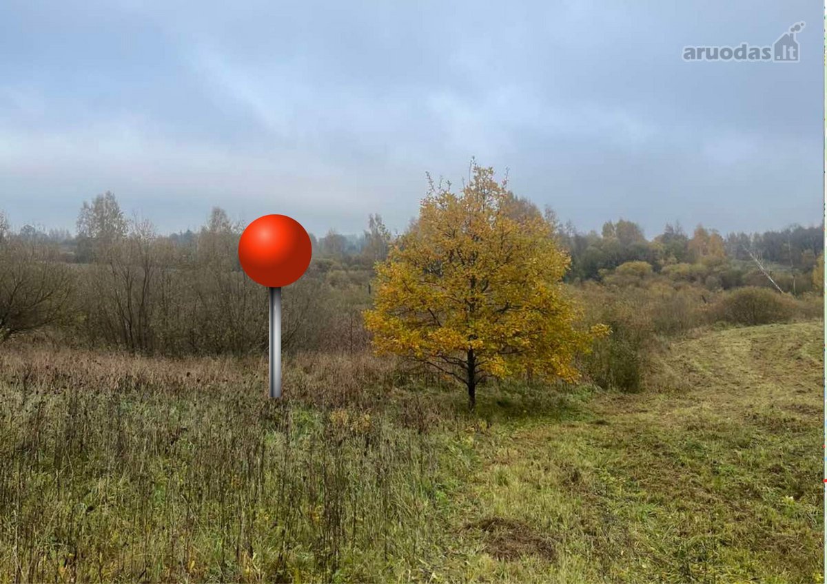 Parduodamas 5,66 ha žemės ūkio paskirties - nuotraukos Nr. 3