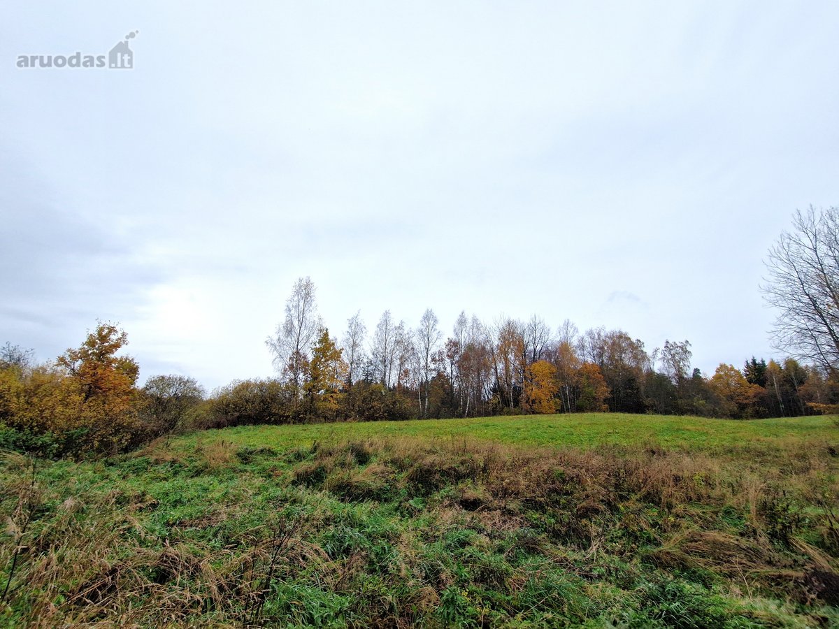 Utenos Priemiestyje, Grybelių Kaime, Kuris - nuotraukos Nr. 6