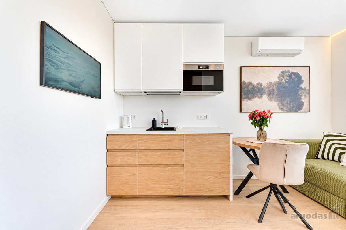 Nuomojamas kokybiškai įrengtas naujas 30 m² 1 - nuotraukos Nr. 3