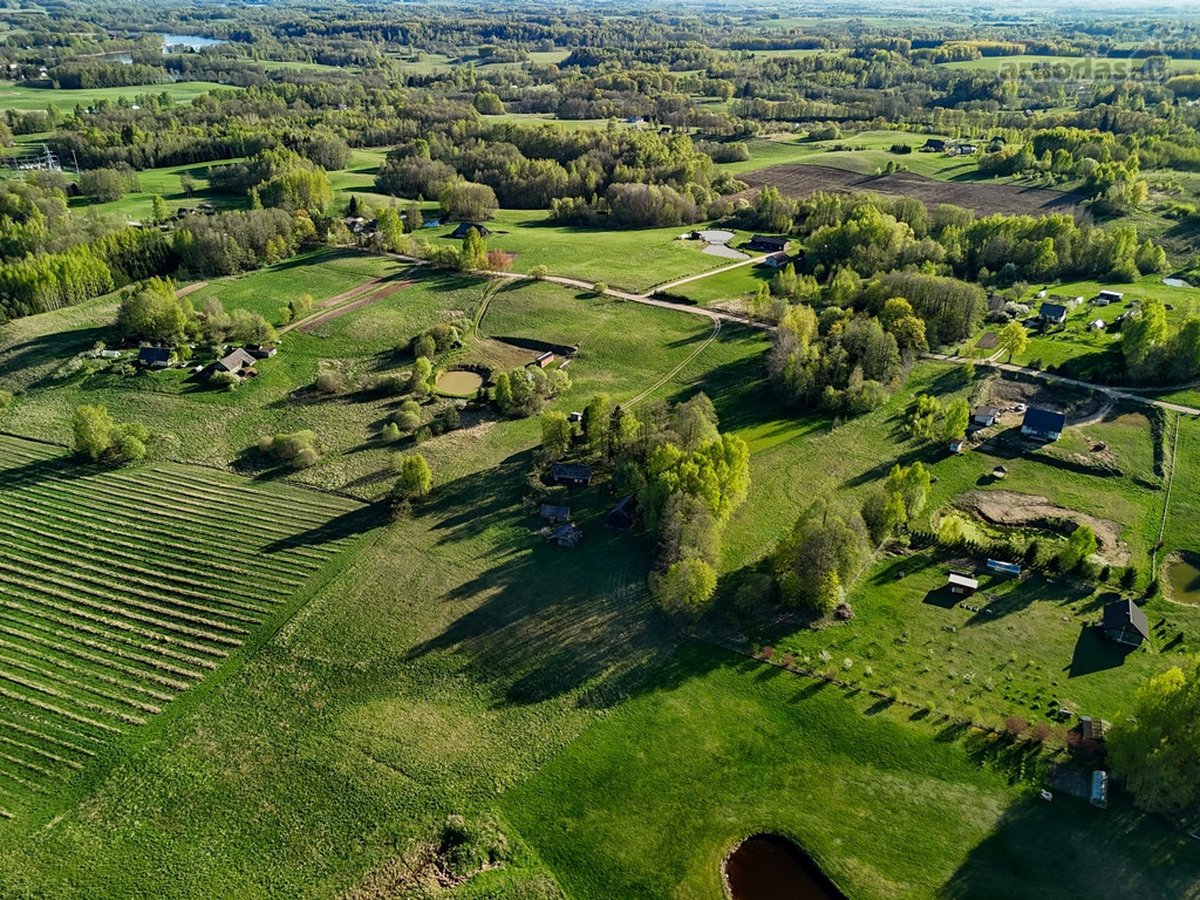 Tik 8 Km Nuo Utenos, 3 Ha Sklype, Antalgės - nuotraukos Nr. 22