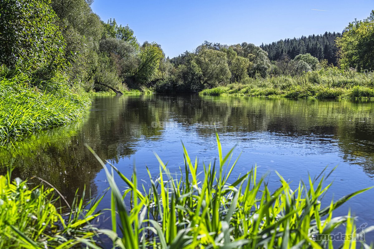 Parduodamas vidinis dviejų kambarių butas su - nuotraukos Nr. 19