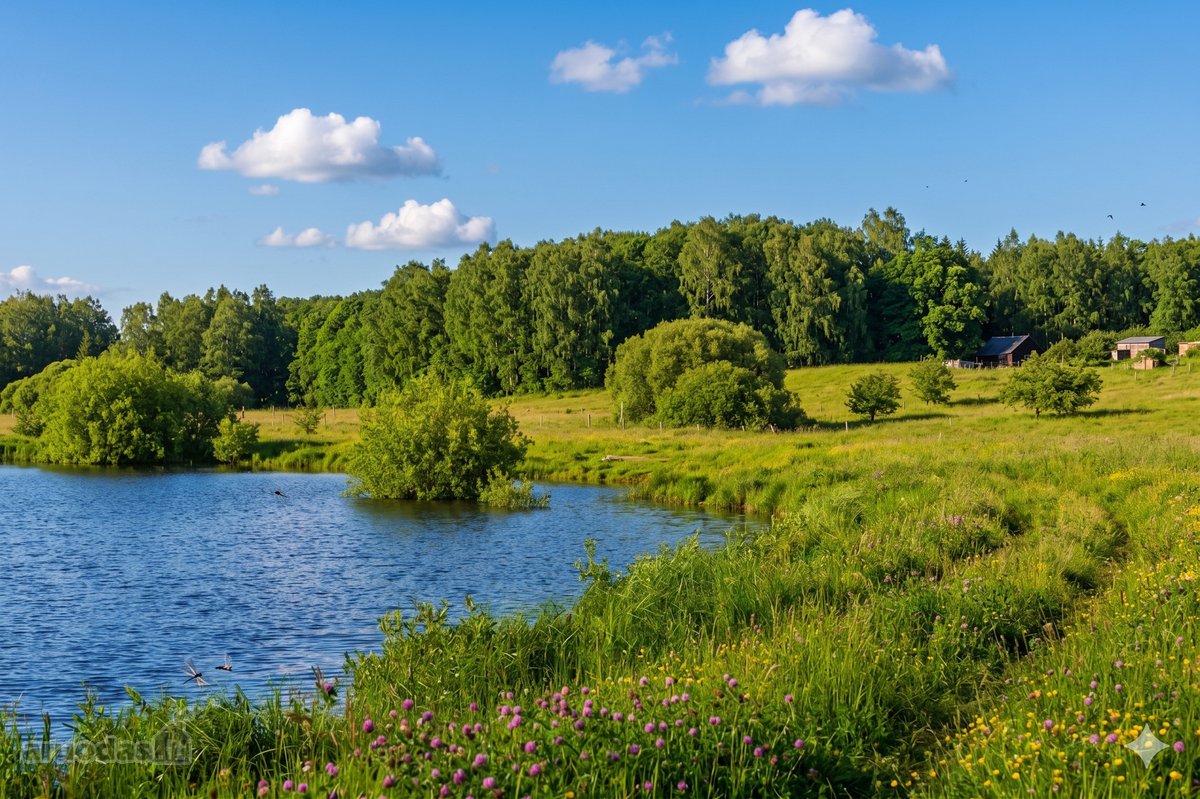 Klaipėdos r., Grikšų k. parduodamas 51,85 arų - nuotraukos Nr. 4