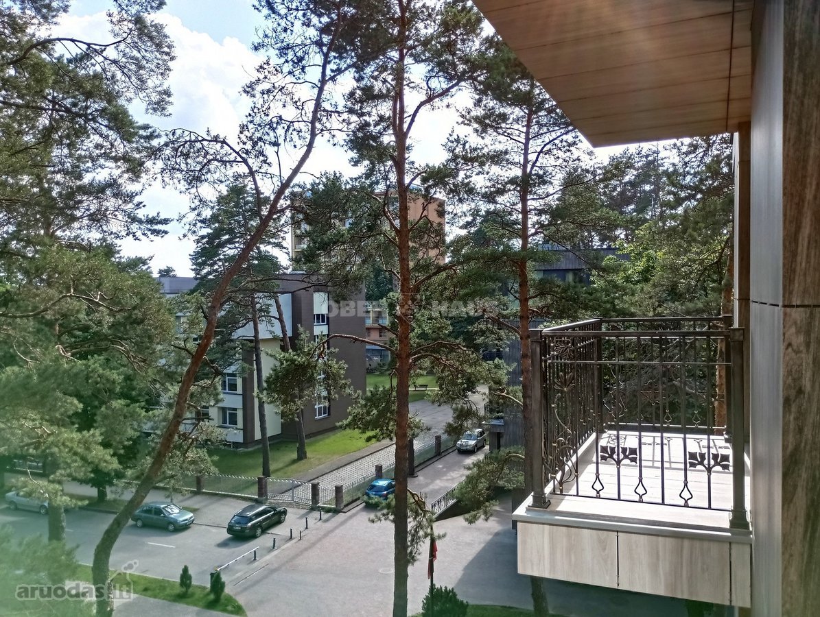 Gyventi ir poilsiauti Druskininkuose, reiškia - nuotraukos Nr. 7