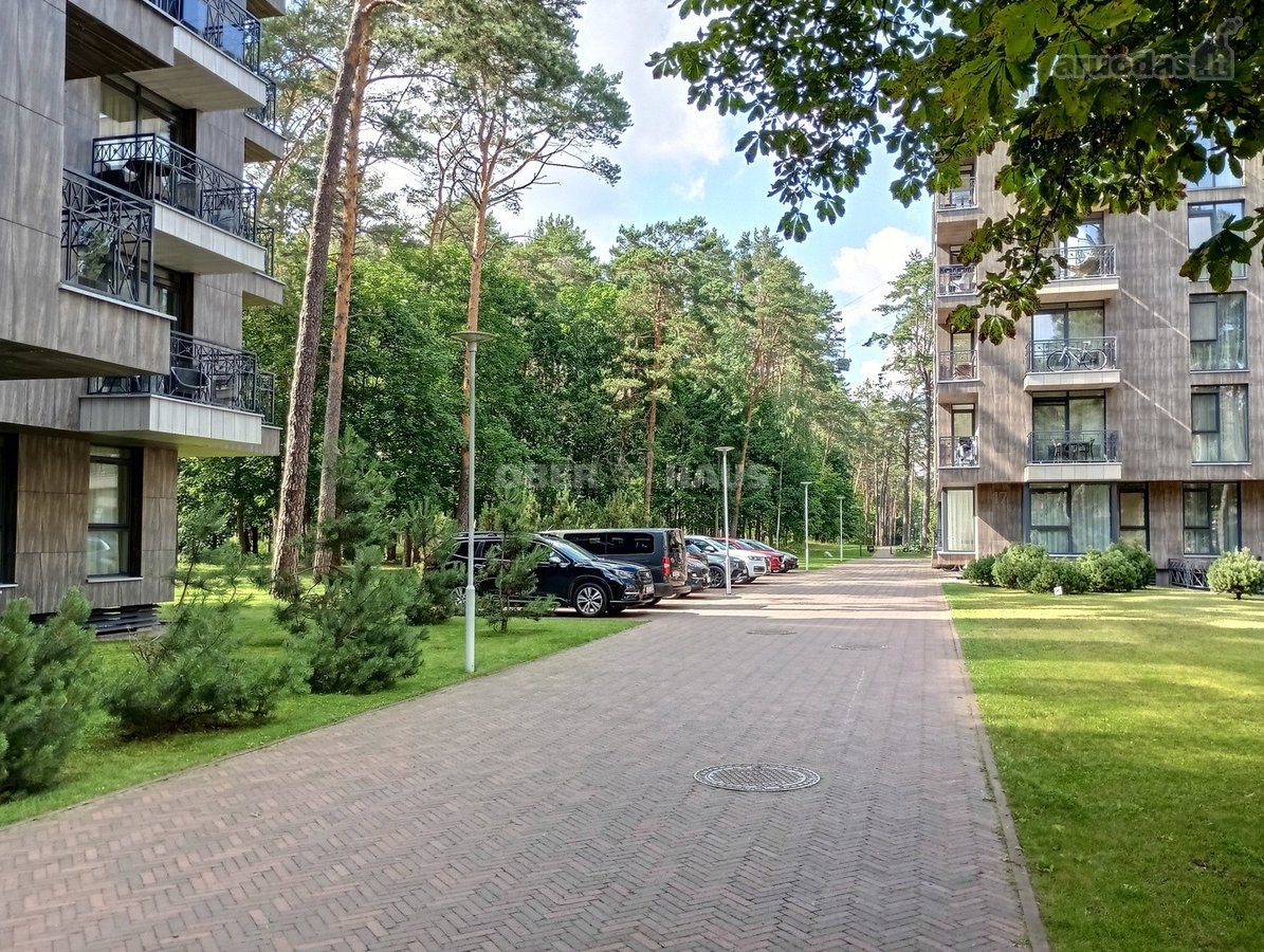 Gyventi ir poilsiauti Druskininkuose, reiškia - nuotraukos Nr. 17