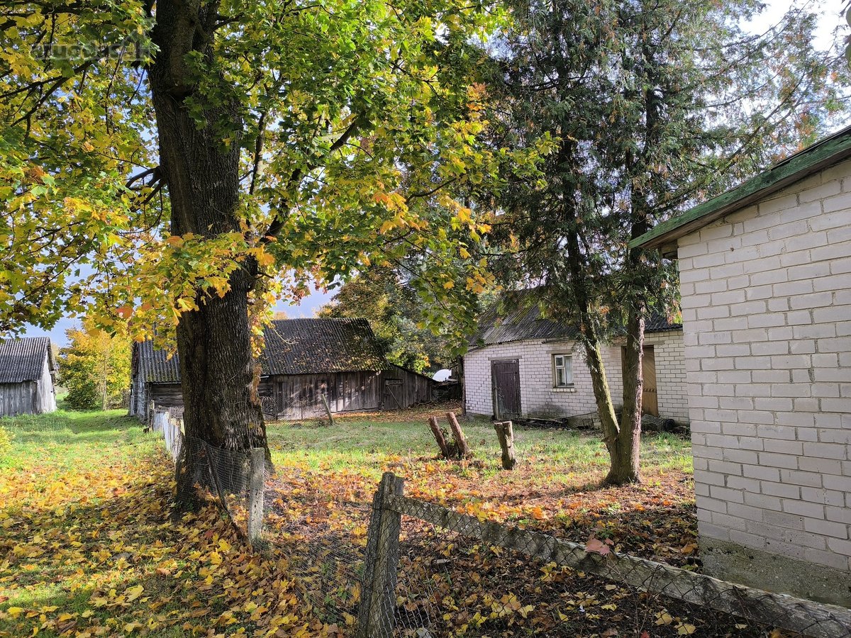 Tvenkinio krantinėje parduodamas namas - nuotraukos Nr. 13
