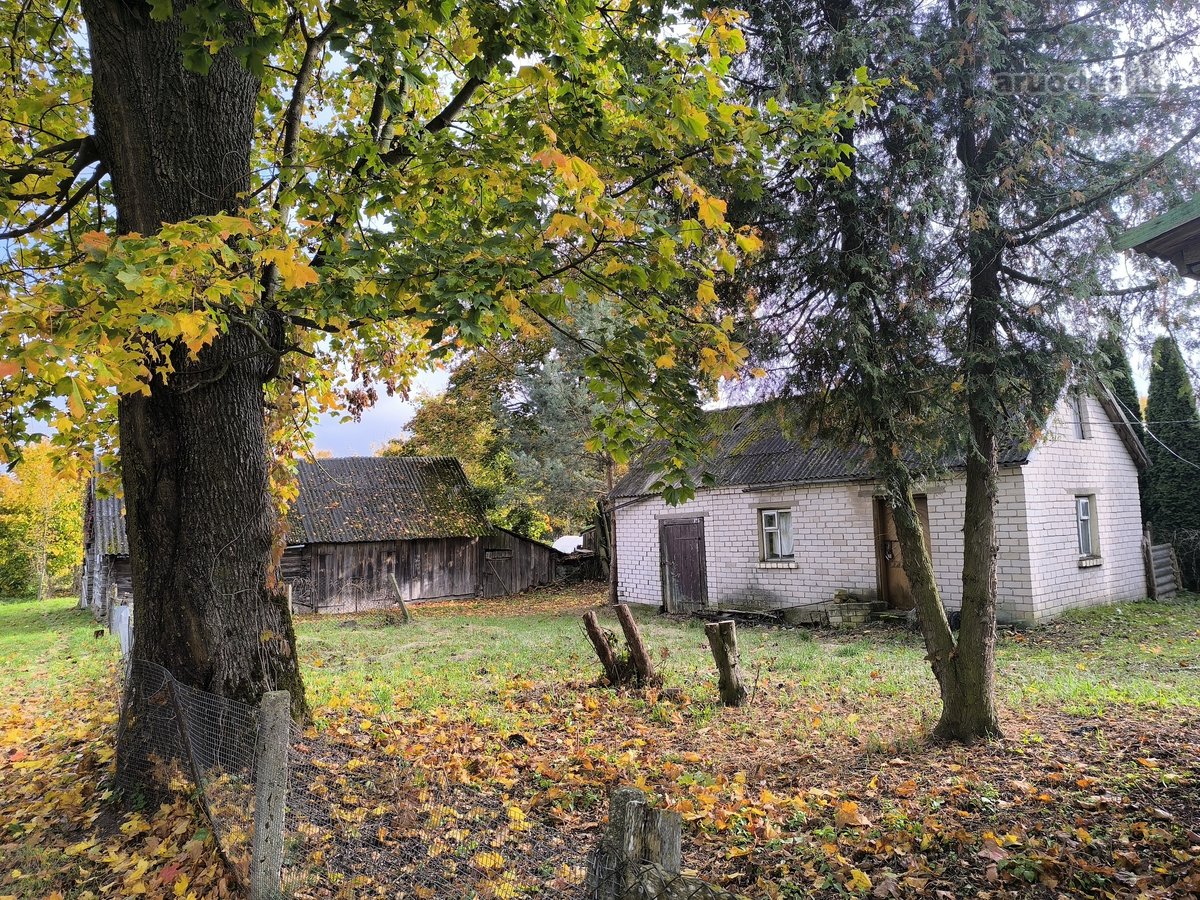 Tvenkinio krantinėje parduodamas namas - nuotraukos Nr. 14