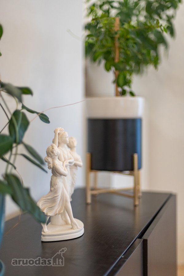 Namas gausiai šeimai Aleksote – 208,87 m² - nuotraukos Nr. 24