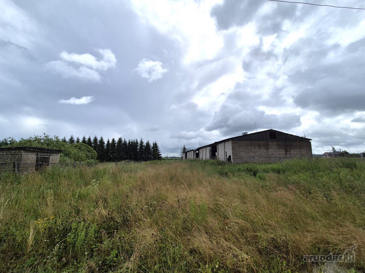 Daržinė su žemės sklypu - nuotraukos Nr. 4