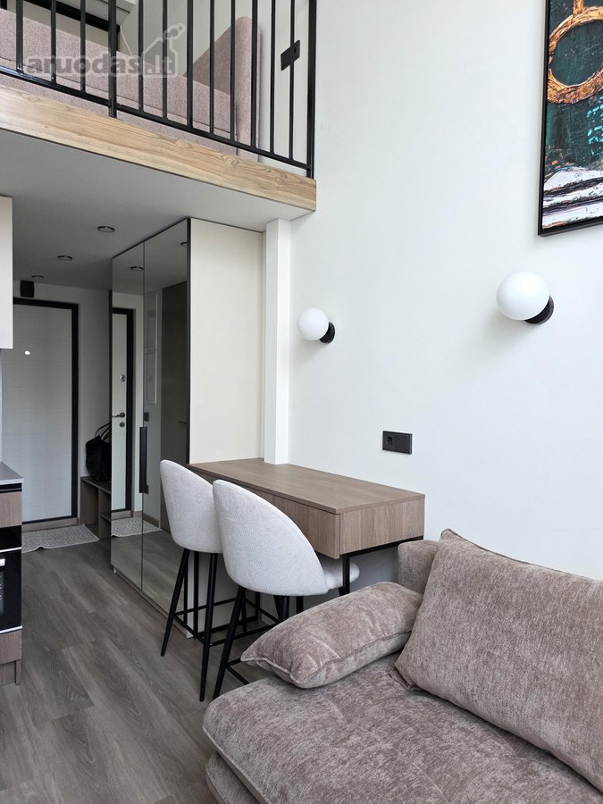 Išskirtinis, Moderniai Įrengtas Loftas Su - nuotraukos Nr. 8