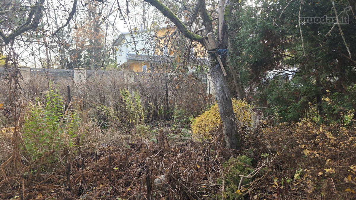 Parduodamas 6,74 aro sklypas su sodo nameliu - nuotraukos Nr. 5