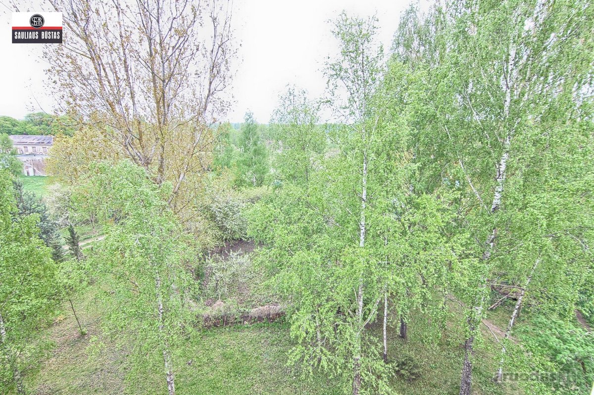 Parduodamas labai pigiai tvarkingas 3-jų - nuotraukos Nr. 25