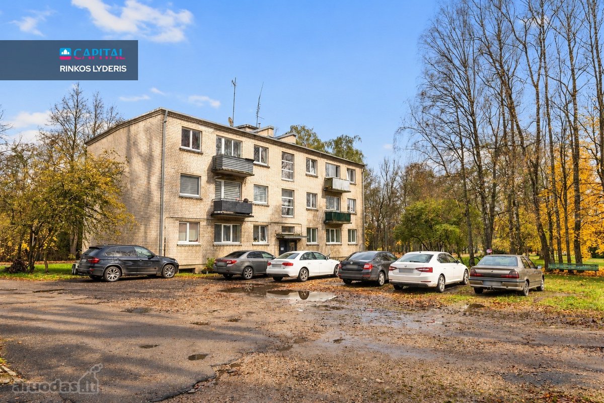Nuomojamas Šviesus 3 Kambarių Butas Parko G., - nuotraukos Nr. 16