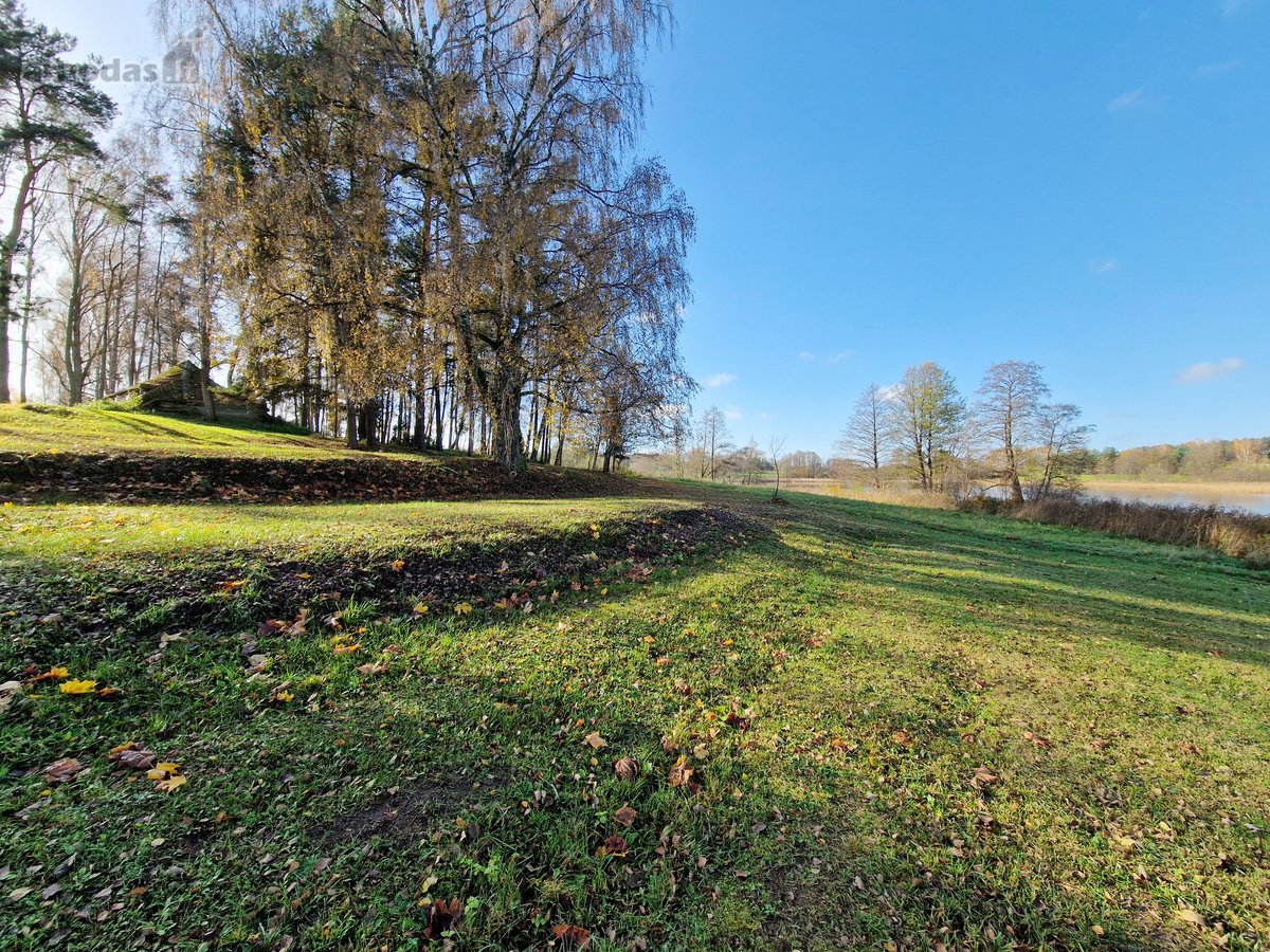 Parduodamas Išskirtinio Grožio Pušų Ir Beržų - nuotraukos Nr. 13