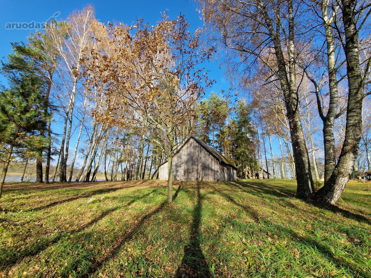 Parduodamas Išskirtinio Grožio Pušų Ir Beržų - nuotraukos Nr. 17