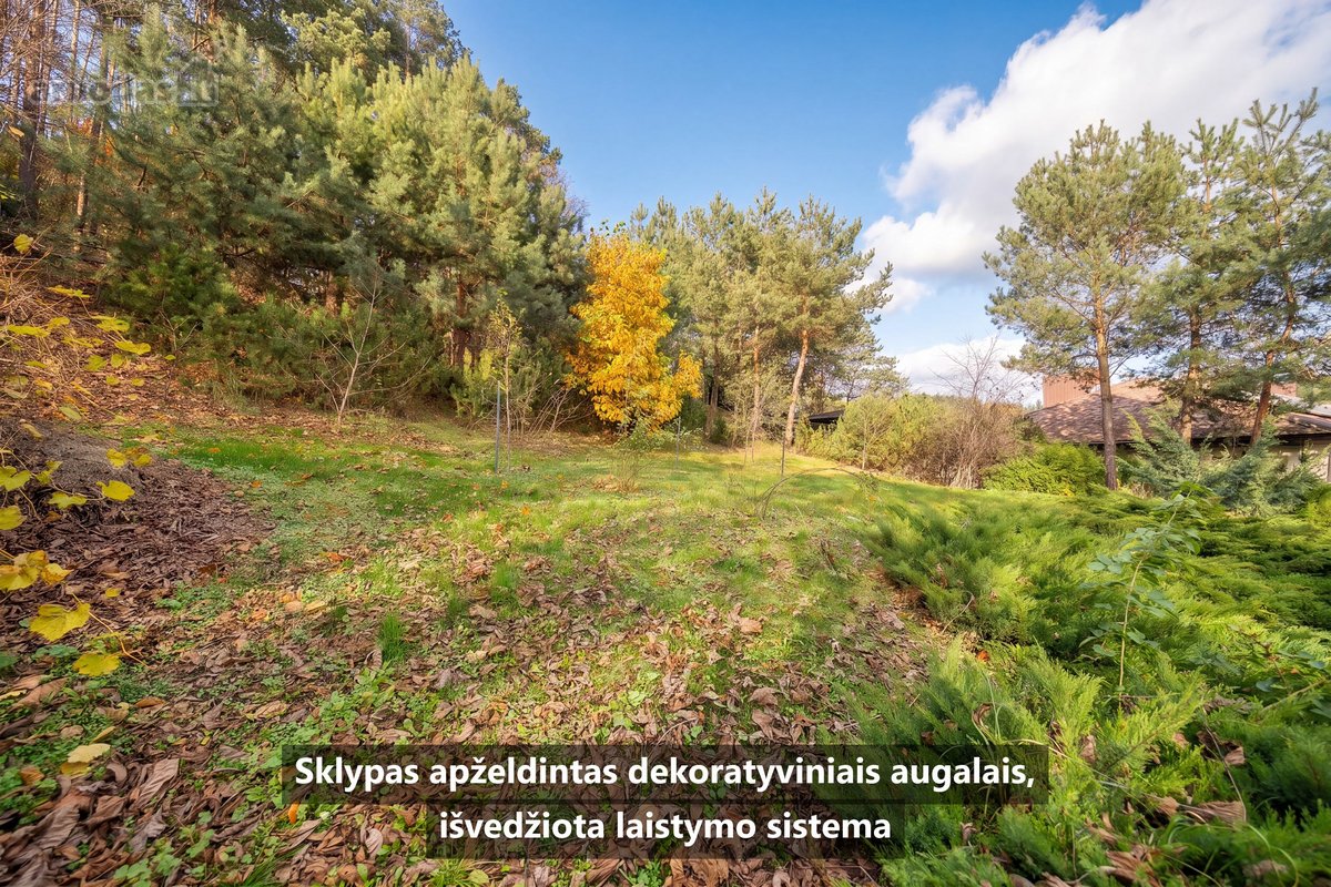 Parduodamas labai geros būklės 193,46 m² - nuotraukos Nr. 36