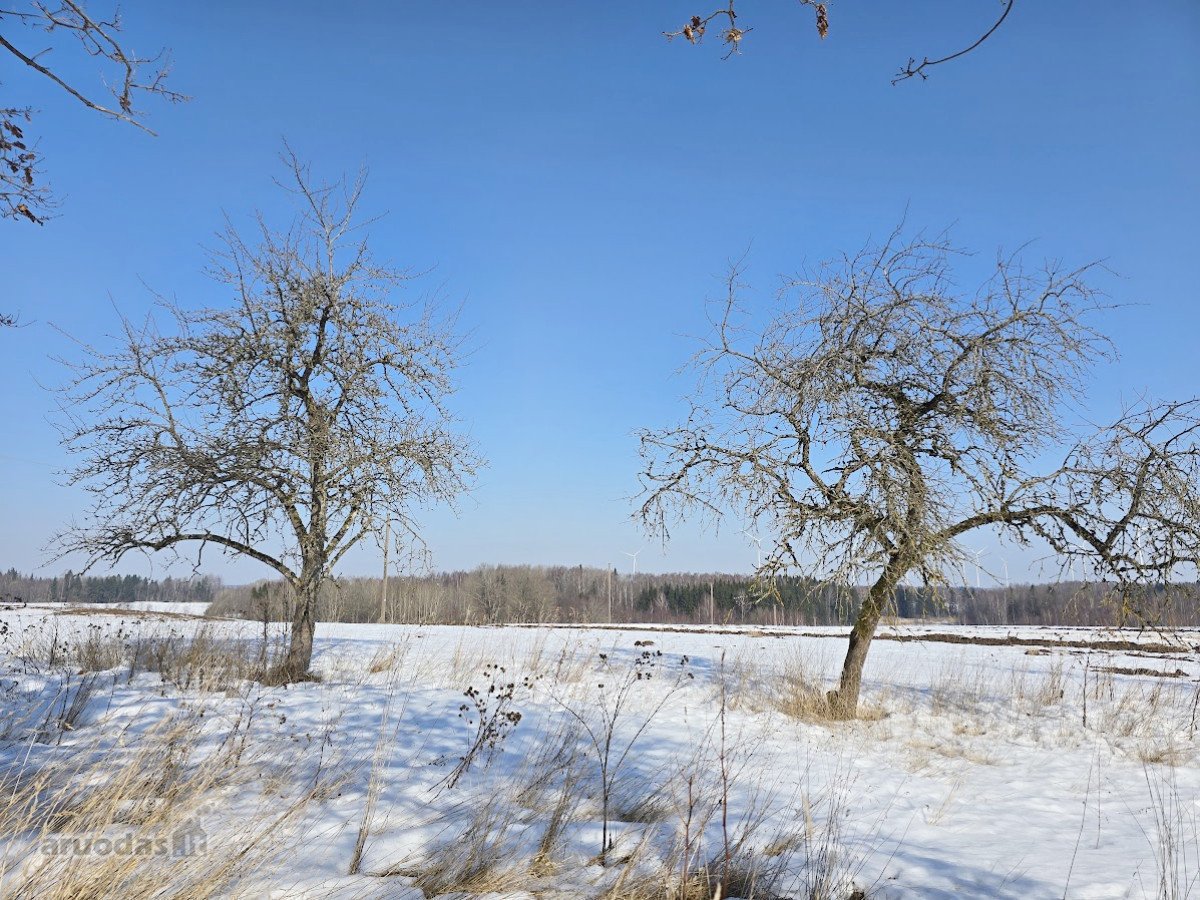 Mietkalnio k., Kelmės r. parduodama jauki - nuotraukos Nr. 10