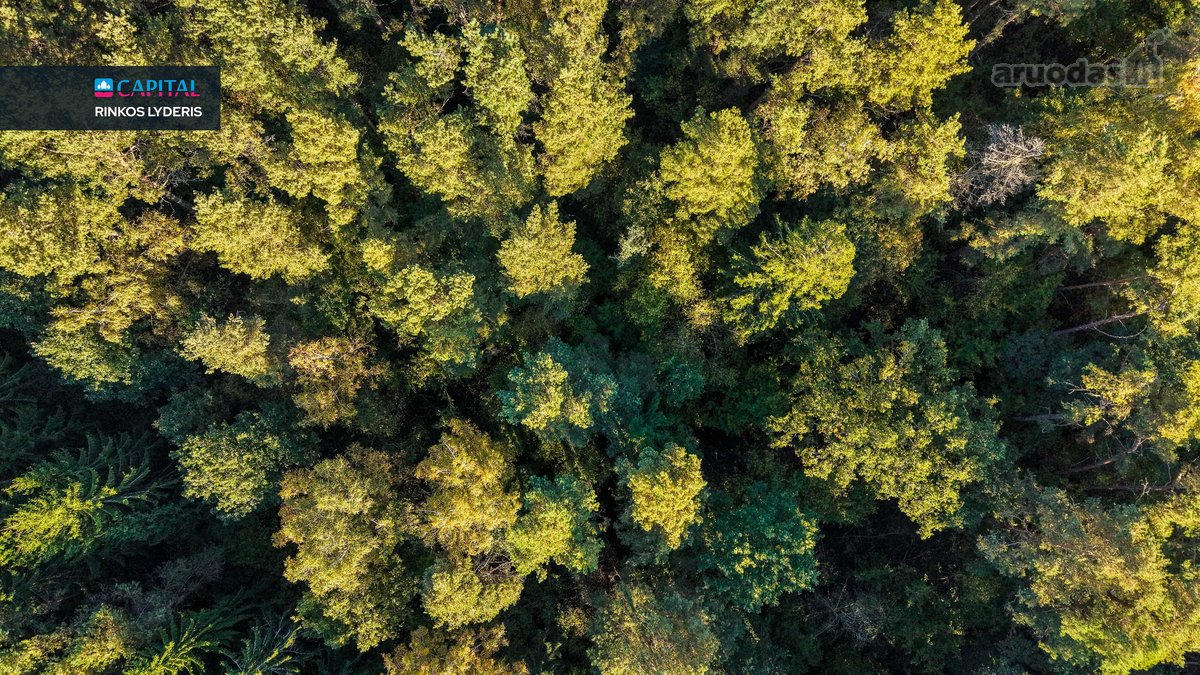 Parduodami Žemės Sklypai Su Statybos Leidimu - nuotraukos Nr. 23