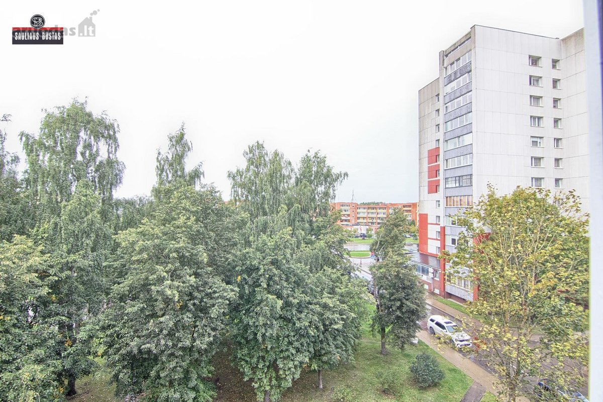 Parduodamas labai pigiai geroje vietoje 2-jų - nuotraukos Nr. 6
