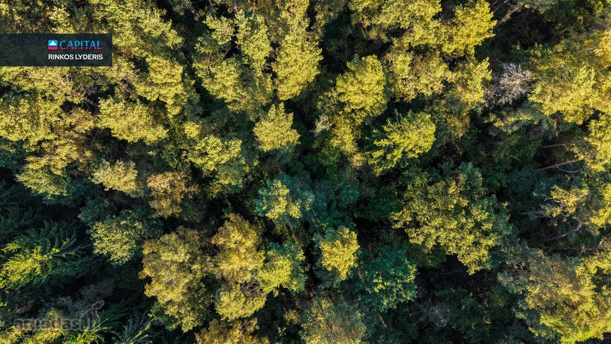 Parduodamas Žemės Sklypas Su Statybos Leidimu - nuotraukos Nr. 18