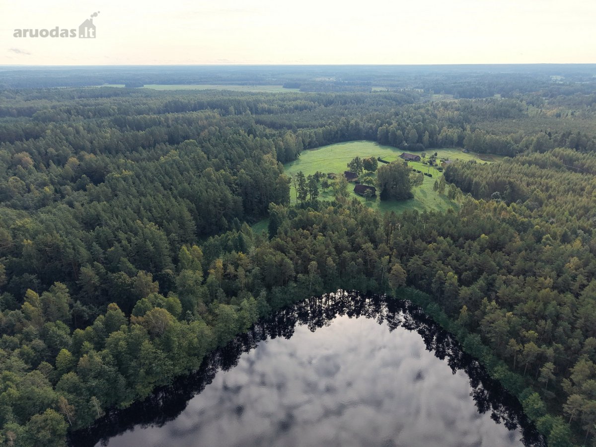 Parduodama Sodyba Su 13,17 Ha Sklypu (9,20 Ha - nuotraukos Nr. 4