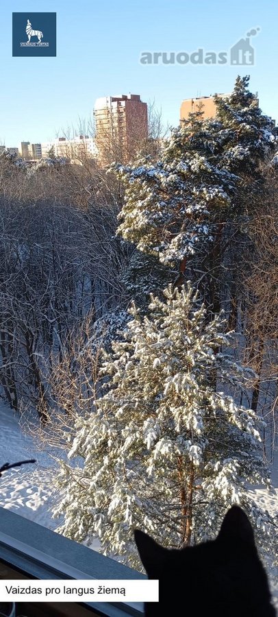 Parduodamas 3 Kambarių Butas Šalia Jomanto Parko - nuotraukos Nr. 27