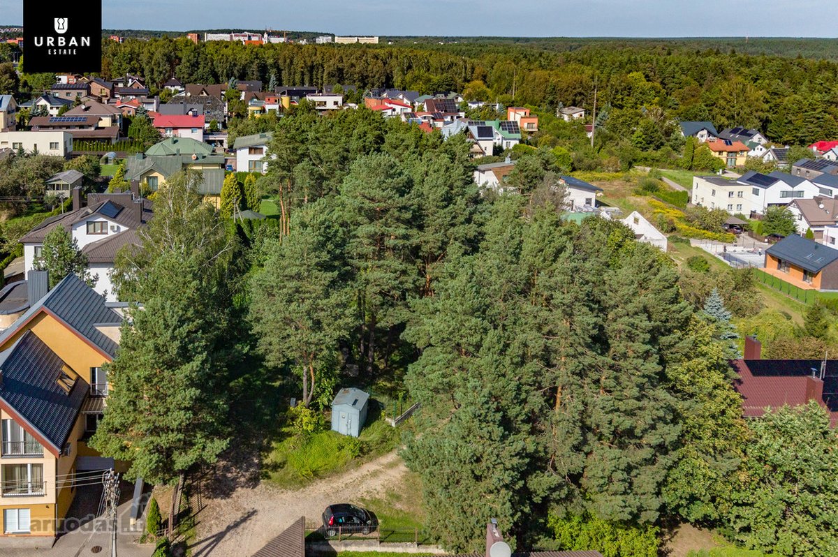 5.93 Arų Sklypas Su Brandžiomis Pušimis - nuotraukos Nr. 6