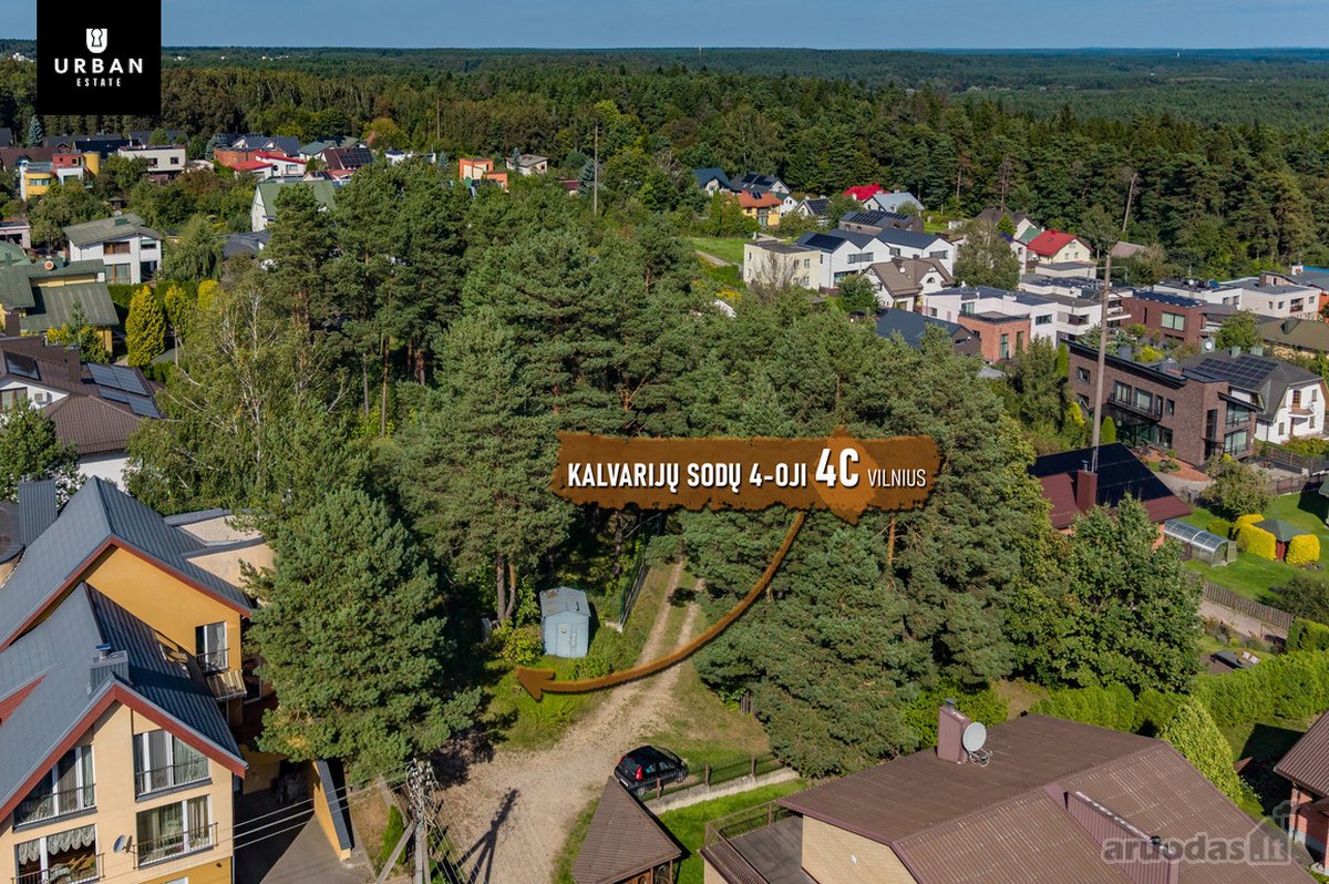 5.93 Arų Sklypas Su Brandžiomis Pušimis - nuotraukos Nr. 7