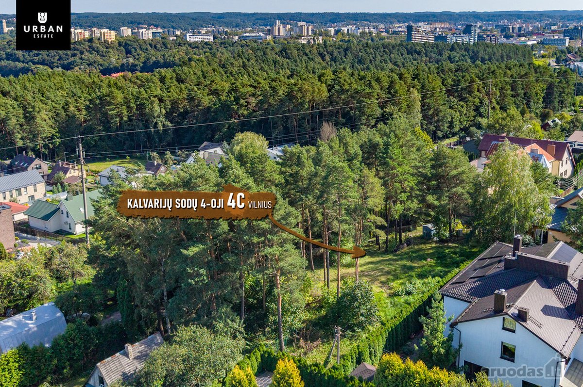 5.93 Arų Sklypas Su Brandžiomis Pušimis - nuotraukos Nr. 9