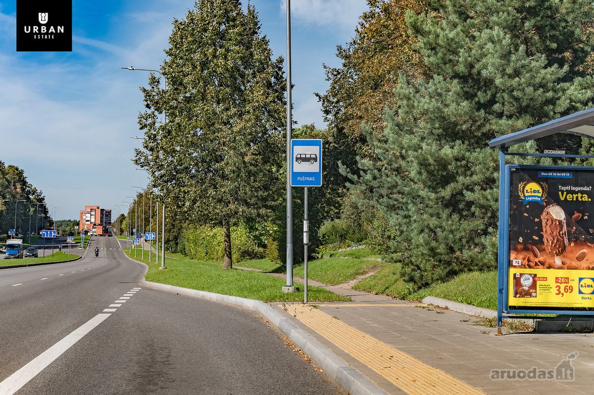 5.93 Arų Sklypas Su Brandžiomis Pušimis - nuotraukos Nr. 15